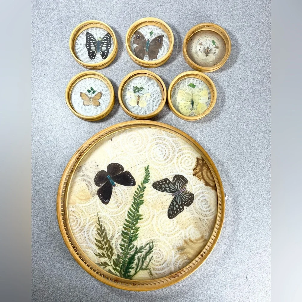 Vintage Round Pressed Butterfly Bar‎ Tray & Coaster Set Bamboo fern leaf retro